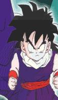 Gohan!!!
