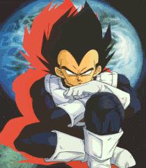 Vegeta!!!