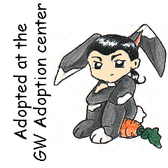 To the Adoption Center