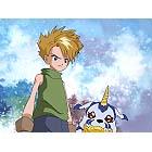 digi44.jpg (5041 bytes)