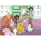 epi25.jpg (6126 bytes)