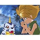 epi3.jpg (6026 bytes)