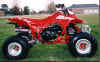 TRX250r.jpg (23088 bytes)