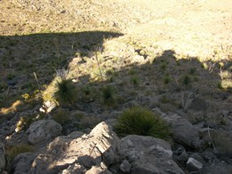 Terrain wher B-36 crashed