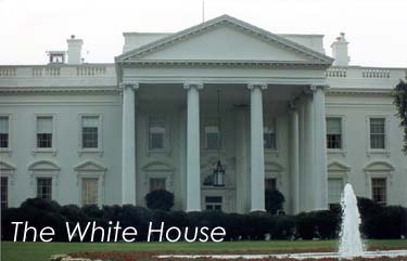 the white house