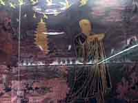 �������͢����˭��ش