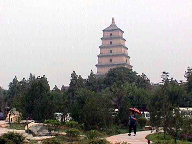 �������͡�Ѻ������