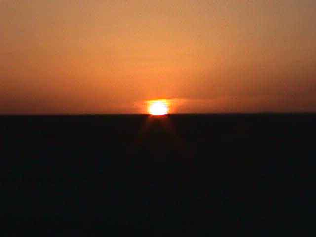 �������͡�Ѻ������