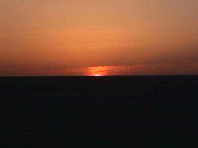 �������͡�Ѻ������