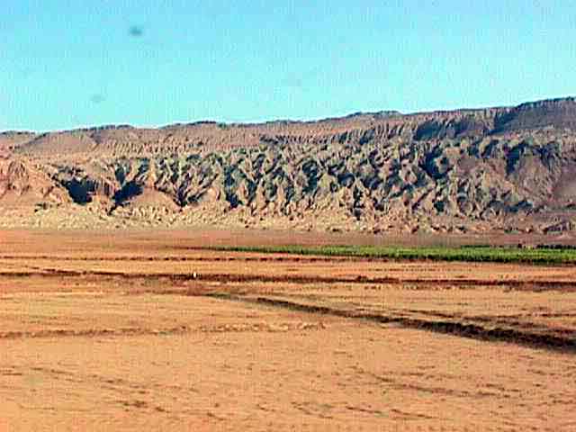 �������͡�Ѻ������