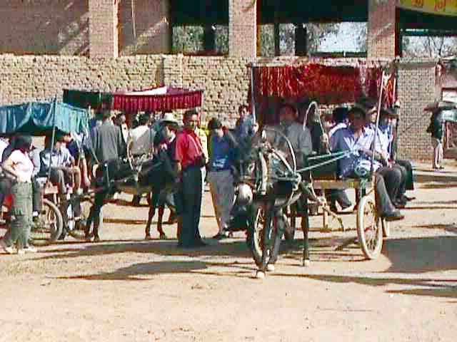 �������͡�Ѻ������