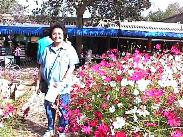 �������͡�Ѻ������