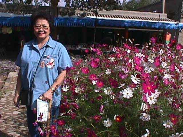 �������͡�Ѻ������