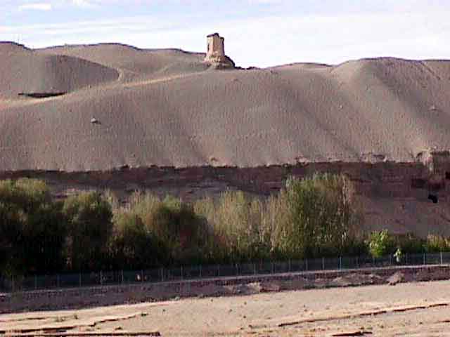 �������͡�Ѻ������