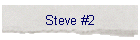 Steve #2
