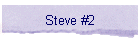 Steve #2