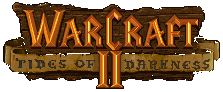 Blizzard's Warcraft II