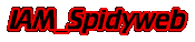 IAM_Spidyweb