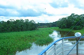 Manaus: Boot-transfer to the Amazon Village