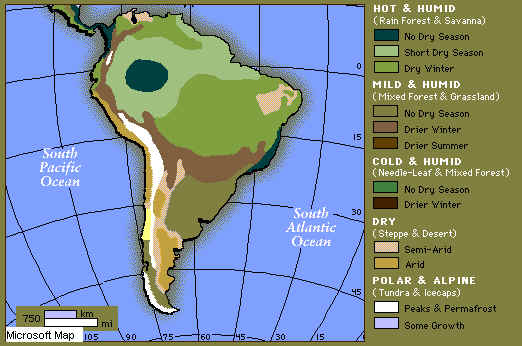 wpe10.jpg (31780 bytes)