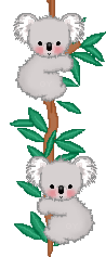 koala climbers