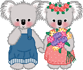 koala couple