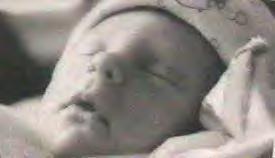 Jackson Slade Pasdar