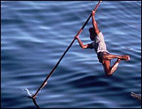 Anyone can join in whale hunting season!