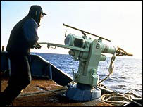 Biya Hunting Season!