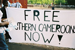 Cameroonians within Europe will march on Downing Street on February 11th.