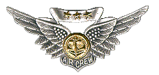 combat aircrew member wings