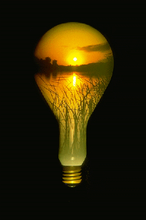 thumbnail of your picture 8