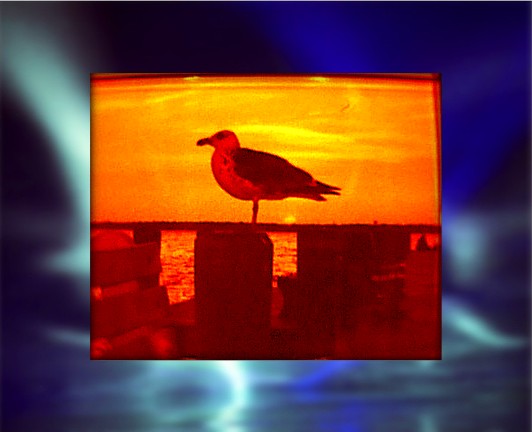 thumbnail of your picture 2