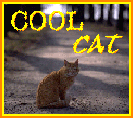 thumbnail of your picture 12