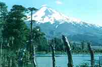 Parque Conguill&iacute;o