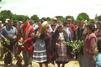 Nguillat&uacute;n, ceremonia Mapuche