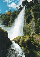 Salto del Leon
