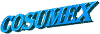 images/cosumex21.gif (10693 bytes)