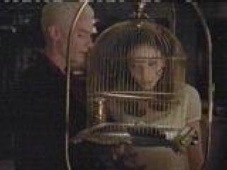 Dru, the bird's dead. You left it in the cage and forgot to feed it and now it's all dead. Just like the last one.