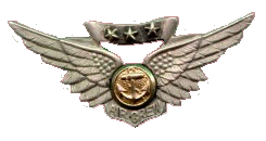 combat air crewmember wings