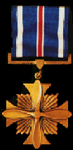 distinguished flying cross