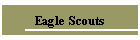 Eagle Scouts