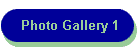 Photo Gallery 1