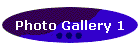 Photo Gallery 1