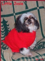 josie the perfect little lady