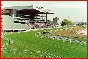 This is a post card of our famous Woodbine Racetrack