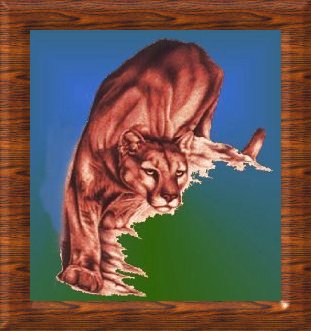 cougar