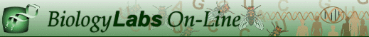 BIOLOGY LABS ON-LINE