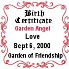 Adopt your own by clicking here!