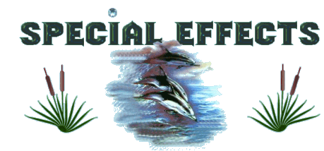 Special Effects